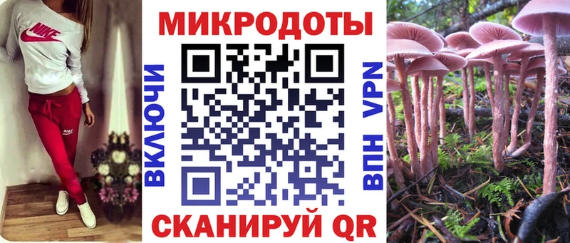 Псилоцибиновые грибы Psilocybine cubensis Калтан